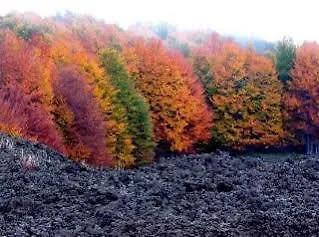 Sotto Il Vulcano ニコロージ ベッド・アンド・ブレックファスト